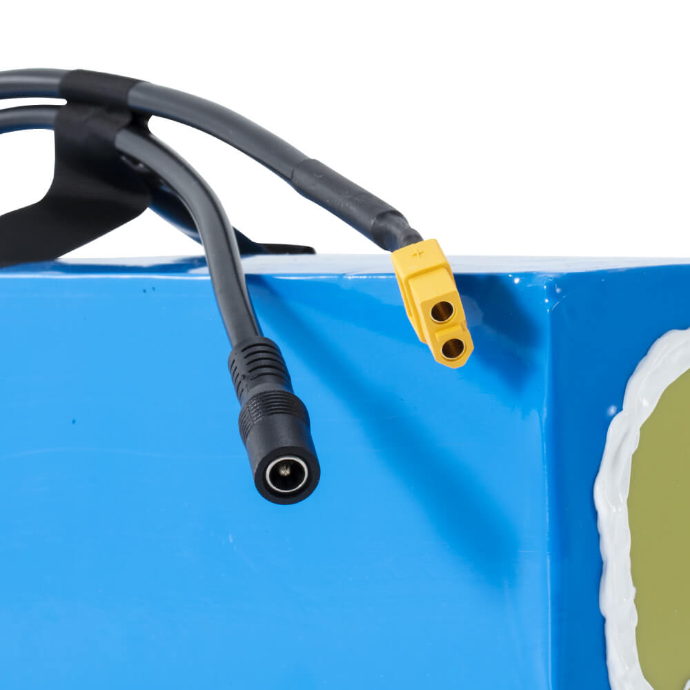 48V 13Ah(625Wh) Li-ion accupakket met lader E-bike accupakket