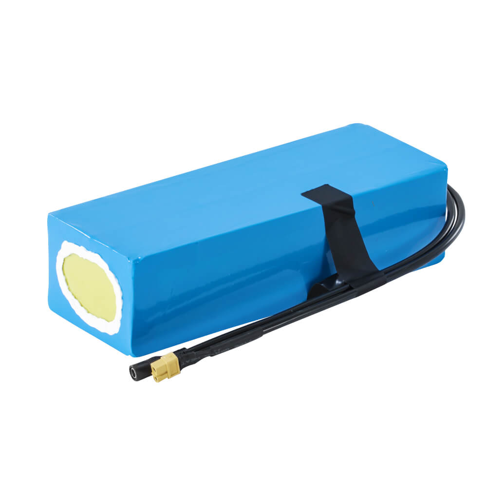 48V 13Ah(625Wh) Li-ion accupakket met lader E-bike accupakket