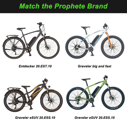 36V 10.4Ah Li-ion E-Bike Accu ZZ98 voor BLAUPUNKT ZZ981004 en Prophete Nr. 326