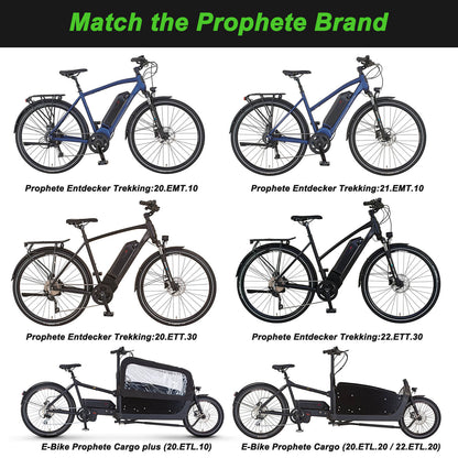 36V 12.8Ah(461Wh) Li-ion Akku vervangende accu CAN-Bus voor onderbuis Prophete e-Bikes ZZ131