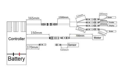E-Bike ombouwset 36V 350W 28"(700C) Achter Motor Kit voor Cassette met 36V 13Ah Accu