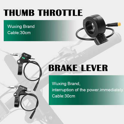 E-Bike ombouwset 36V 350W 28"(700C) Achter Motor Kit voor Vrijloop met 36V 13Ah Accu